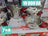 Cocotte minute pack 7 Pieces Nardi Made in italy 7L+4L كوكوطة